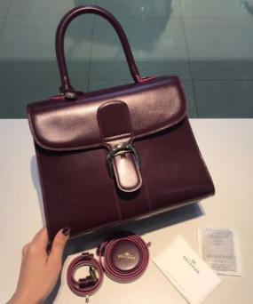 델보 브리앙 박스백 미듐